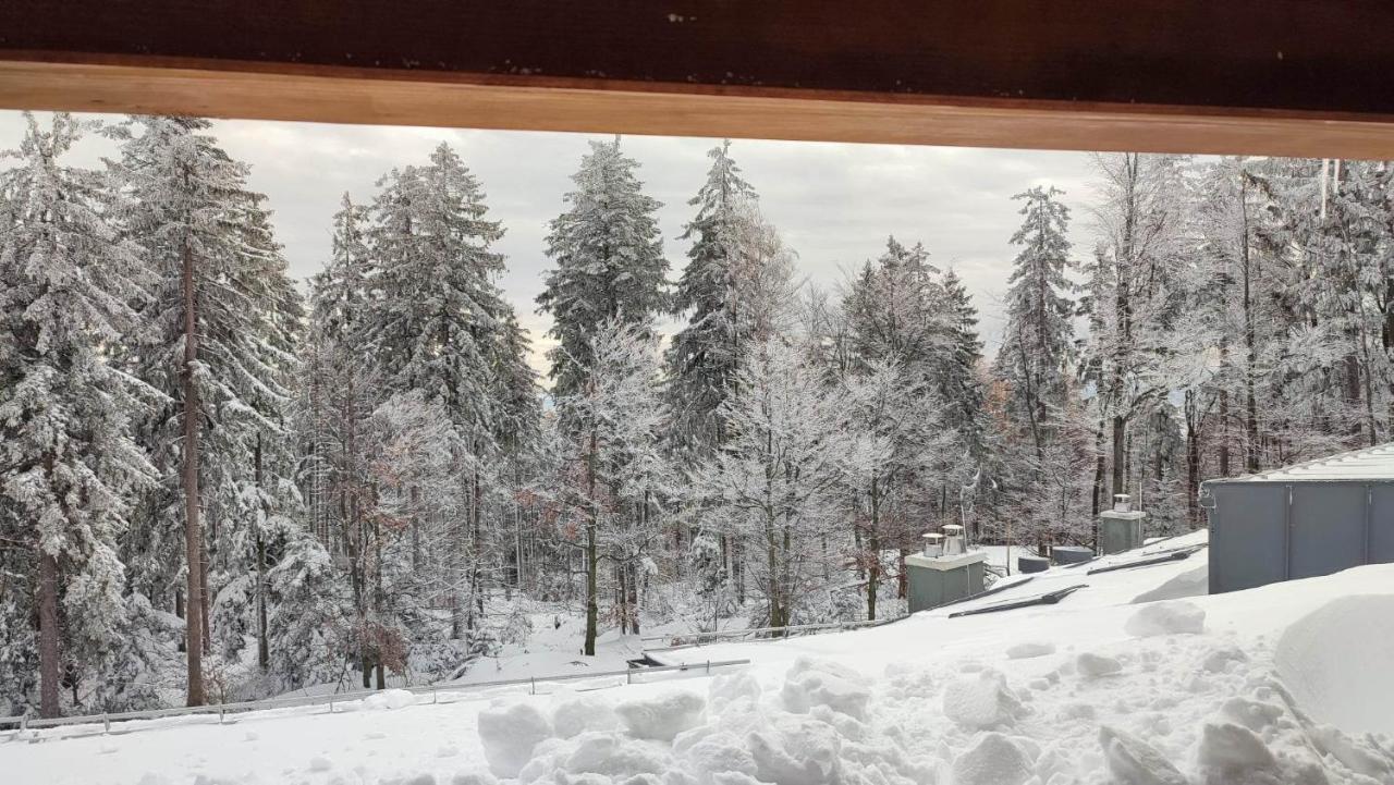 Pohorje Pearl Lux, 2-Floor Apartment 霍茨科波霍尔耶 外观 照片