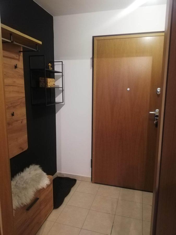 Pohorje Pearl Lux, 2-Floor Apartment 霍茨科波霍尔耶 外观 照片