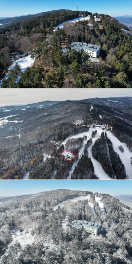 Pohorje Pearl Lux, 2-Floor Apartment 霍茨科波霍尔耶 外观 照片